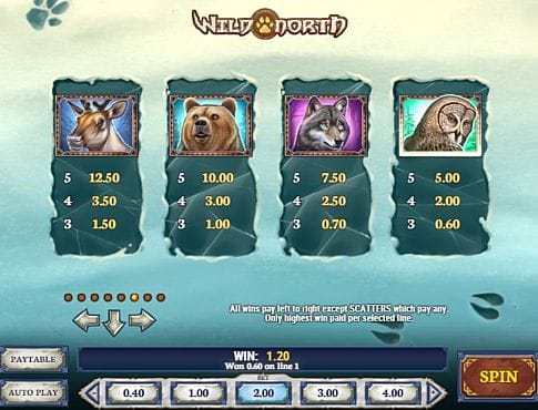 Аппарат Wild North - таблица выплат Таблица выплат в аппарате Wild North