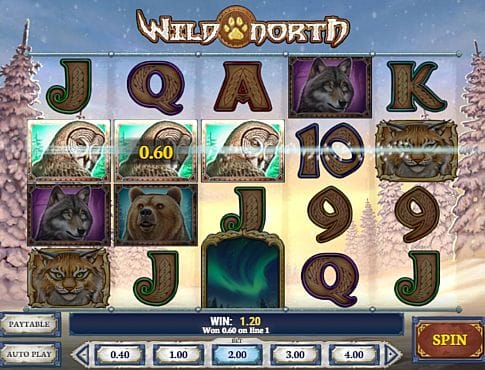 Игровой автомат Wild North - призовая комбинация символов Призовая комбинация в игровом автомате Wild North
