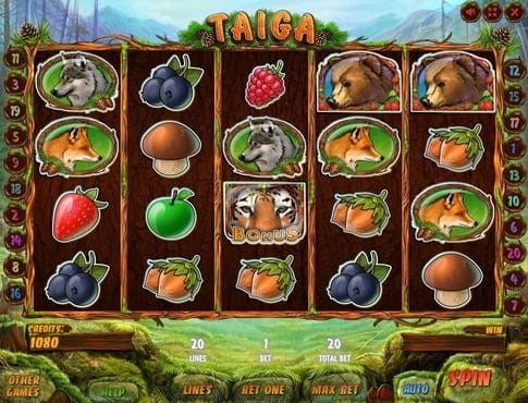 Игра Taiga - комбинация с бонусом Комбинация с бонусом в игре Taiga