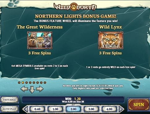 Онлайн слот Wild North - правила фриспинов Правила фриспинов в онлайн слоте Wild North